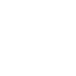 VZW On Stage Logo